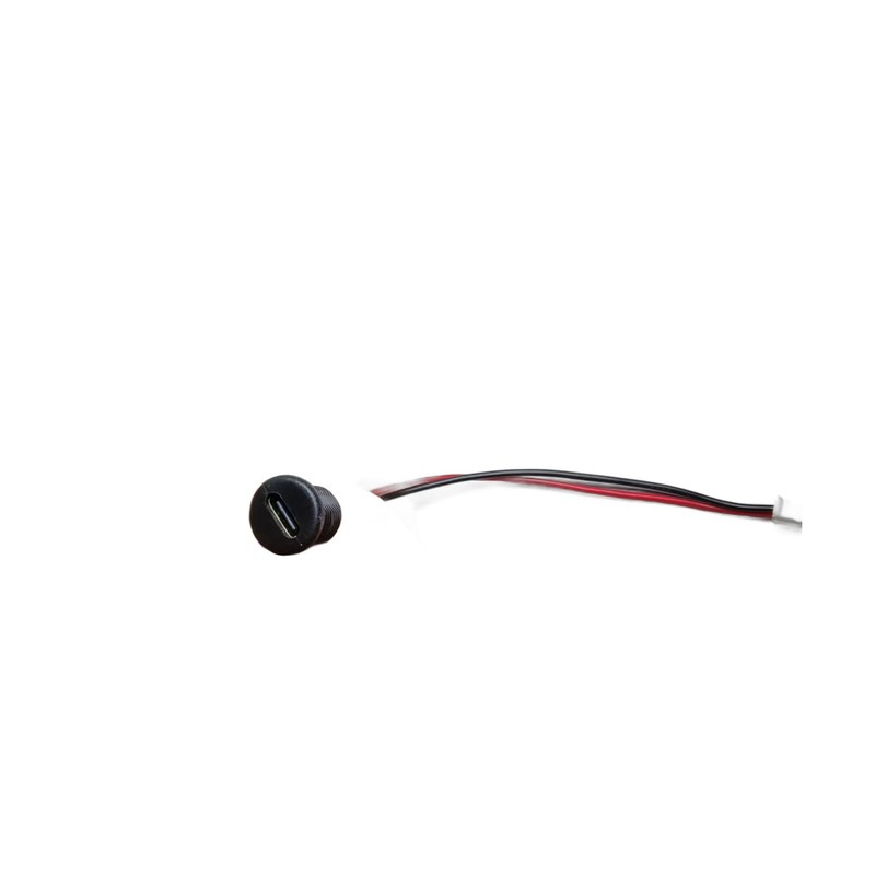Sample assembly: USB Type-C panel-mount socket with small 2-pin plug harness — reference sample, actual product built to your spec